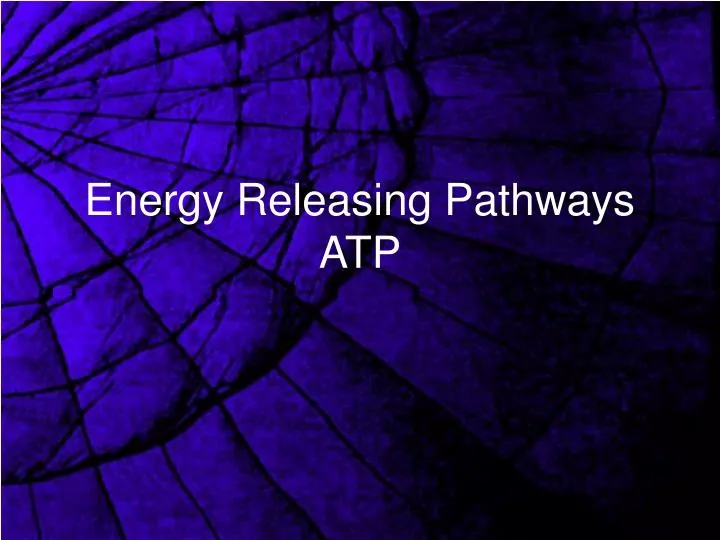 energy releasing pathways atp