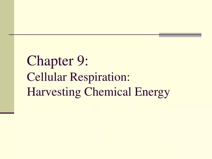 chapter 9 cellular respiration harvesting chemical energy