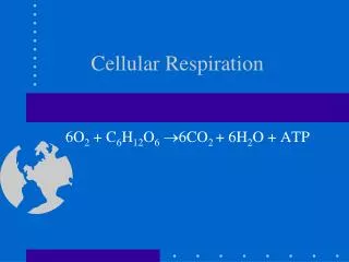 Cellular Respiration