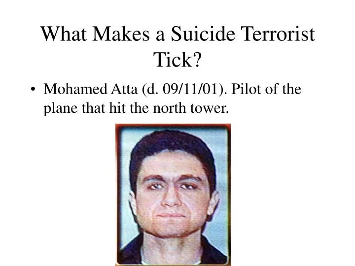 what makes a suicide terrorist tick