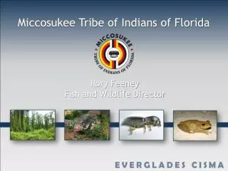 Miccosukee Tribe of Indians of Florida Rory Feeney Fish and Wildlife Director
