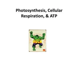 photosynthesis cellular respiration atp