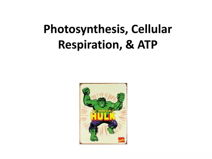 photosynthesis cellular respiration atp
