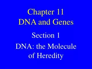 chapter 11 dna and genes