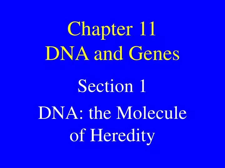 chapter 11 dna and genes