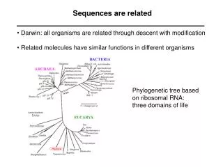 Sequences are related