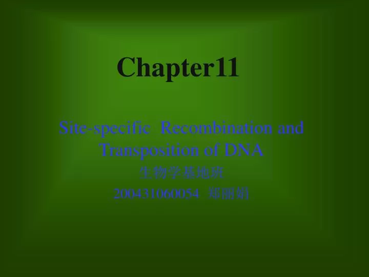 chapter11