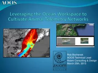 Leveraging the Ocean Workspace to Cultivate Animal Telemetry Networks
