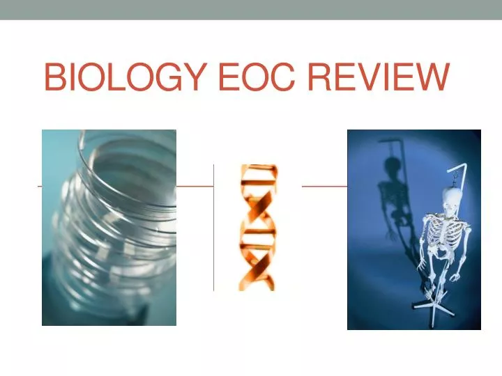 biology eoc review