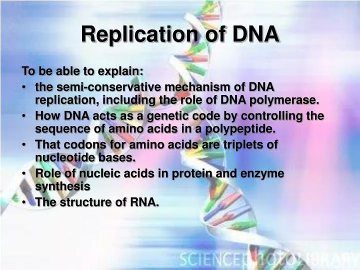 replication of dna