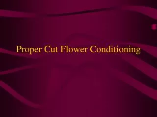 Proper Cut Flower Conditioning