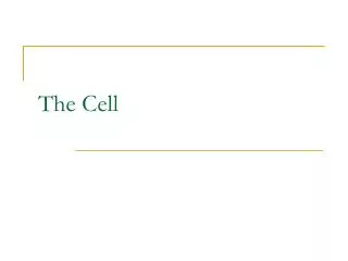 The Cell