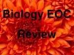 Biology EOC Review - slide 1