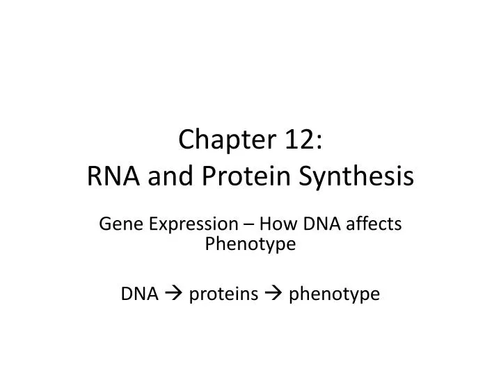 chapter 12 rna and protein synthesis