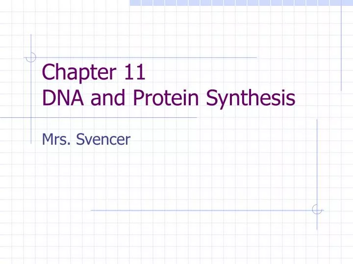 chapter 11 dna and protein synthesis