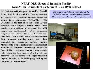 NEAT ORU Spectral Imaging Facility Gang-Yu Liu, University of California at Davis, DMR 0421521
