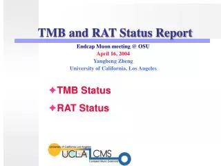 TMB and RAT Status Report