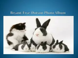 Bryant/Frye/Dotson Photo Album