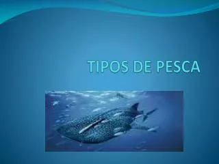 tipos de pesca