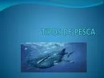 TIPOS DE PESCA - slide 1