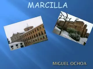 miguel ochoa