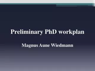 Preliminary PhD workplan Magnus Aune Wiedmann