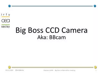 Big Boss CCD Camera Aka: BBcam