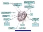 Navigating Classroom Distractions: From Daydreams to Loud Talkers - slide 1