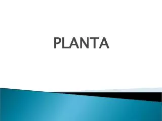planta