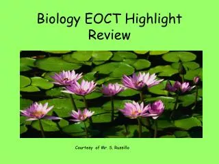 Biology EOCT Highlight Review
