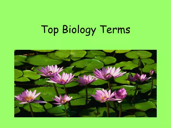 top biology terms