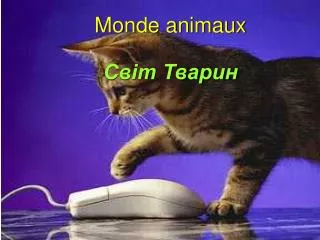 monde animaux