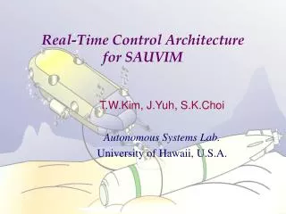 Real-Time Control Architecture for SAUVIM