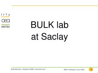 BULK lab at Saclay