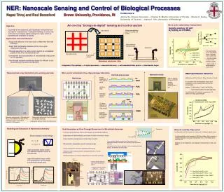 NER: Nanoscale Sensing and Control of Biological Processes