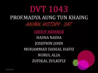 DVT 1043 PROF.MADYA AUNG TUN KHAING