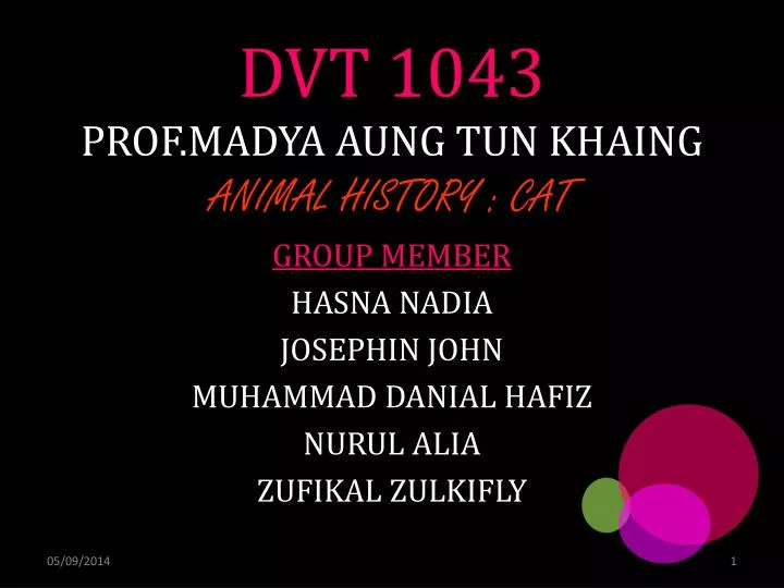 dvt 1043 prof madya aung tun khaing