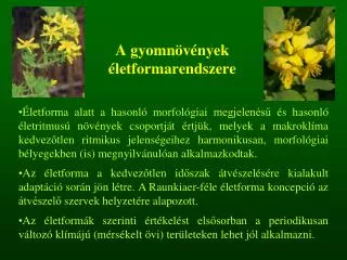 a gyomn v nyek letformarendszere