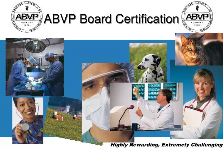 abvp board certification
