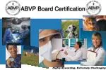 ABVP Board Certification