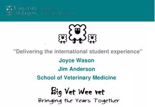 &quot;Delivering the international student experience&quot;