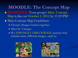 MOODLE: The Concept Map