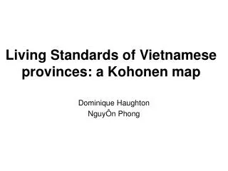 Living Standards of Vietnamese provinces: a Kohonen map
