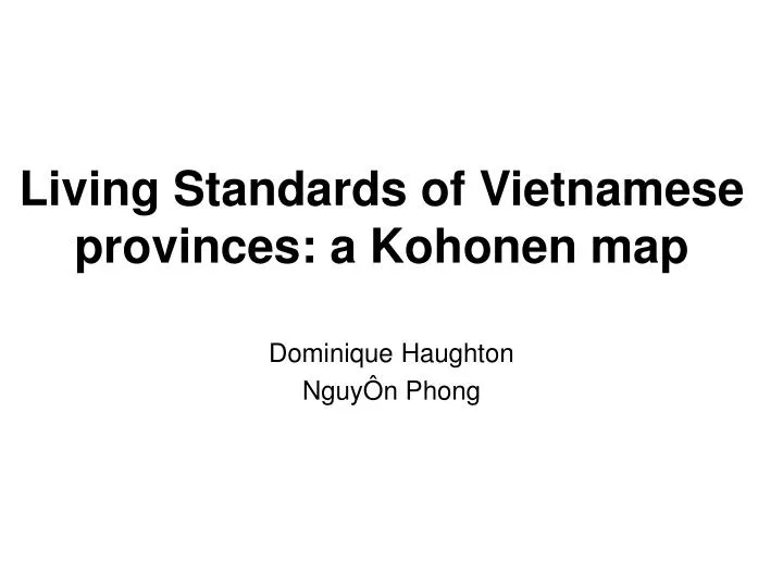 living standards of vietnamese provinces a kohonen map