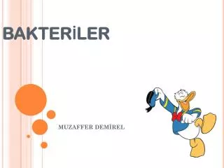 bakter ler