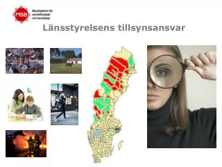 l nsstyrelsens tillsynsansvar