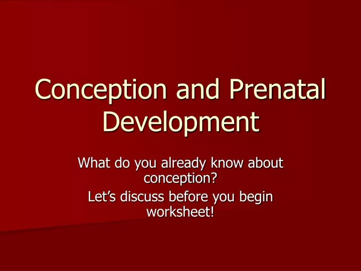conception and prenatal development