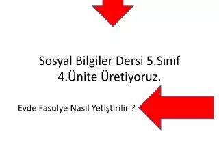 sosyal bilgiler dersi 5 s n f 4 nite retiyoruz