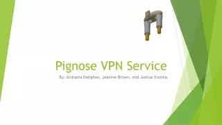 Pignose VPN Service