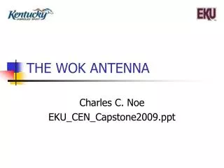 THE WOK ANTENNA